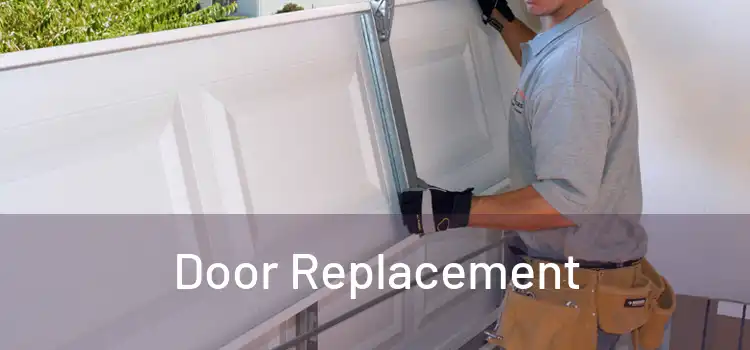  Door Replacement 