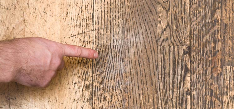 Wood Door Scratch Repair in Eastvale
